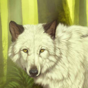 tundrawolven-blog avatar