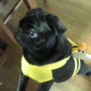 tuneji avatar