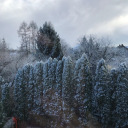 tuninapreferita avatar