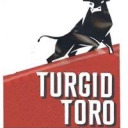 turgidtoro avatar