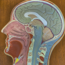 turingdetested avatar