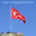 turkeysforlife avatar