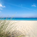 turn-this-all-around avatar