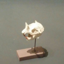 turndownforpie avatar