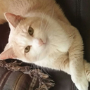 turndownforwhat-15 avatar