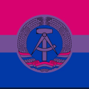 turnip-walrus avatar