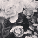 turnoffyourtelevision avatar