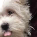 turnoutthefuxkinglights avatar