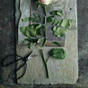 turntechboophead avatar