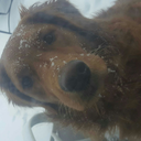 turnthepagebeginlife avatar