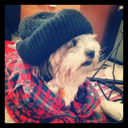 turntheworldto avatar