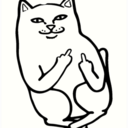 turquoise-rings avatar