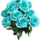 turquoise-roses avatar