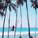 turquoisespectra avatar