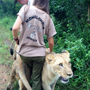 turquoisetempest avatar