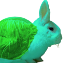 turtle-ask avatar