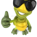 turtle-ballss avatar