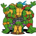 turtle-bros avatar