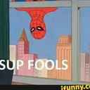 turtleass-blog avatar