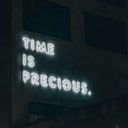 turtledollars avatar