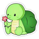 turtleforlives avatar