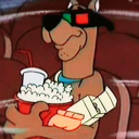 turtlesforgovner avatar