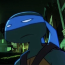 turtleynottoitles avatar