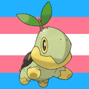 turtwig-hugger avatar