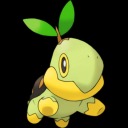 turtwig-propaganda avatar