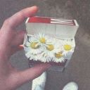 tutellerimden avatar