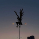 tuttifrutti1994 avatar