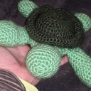 tuttleturtle avatar