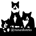 tuxedotrio avatar