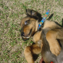 tuzinhaje-blog-blog avatar