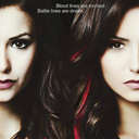 tvampirediariesalwaysandforever avatar