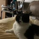 tvshowgeekgod avatar