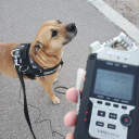 tvstaticraincloud avatar