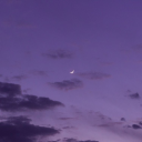 twelve-12-xii avatar