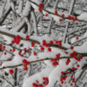 twelve-in-twelve-2016 avatar