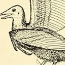 twelvebooksstuff avatar