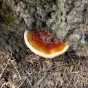 twentyfourshards avatar