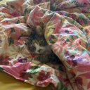 twentyfourteenagain avatar