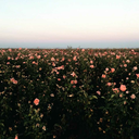 twentyoneframes avatar