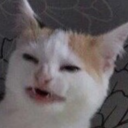 twentyonepilotwhales avatar