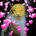 twerkit-thefrog avatar