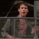 twig-collector avatar