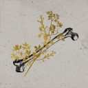 twigsandbones avatar