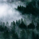 twilightgirl4e avatar