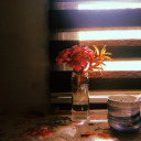 twilightnotesfromafriend avatar