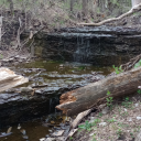 twilightripoff avatar